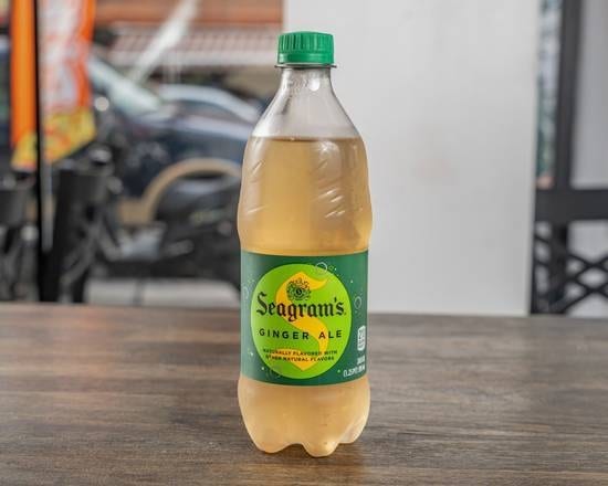 Ginger Ale 20 Oz.